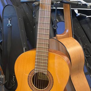 raimundo 104b klasik gitar